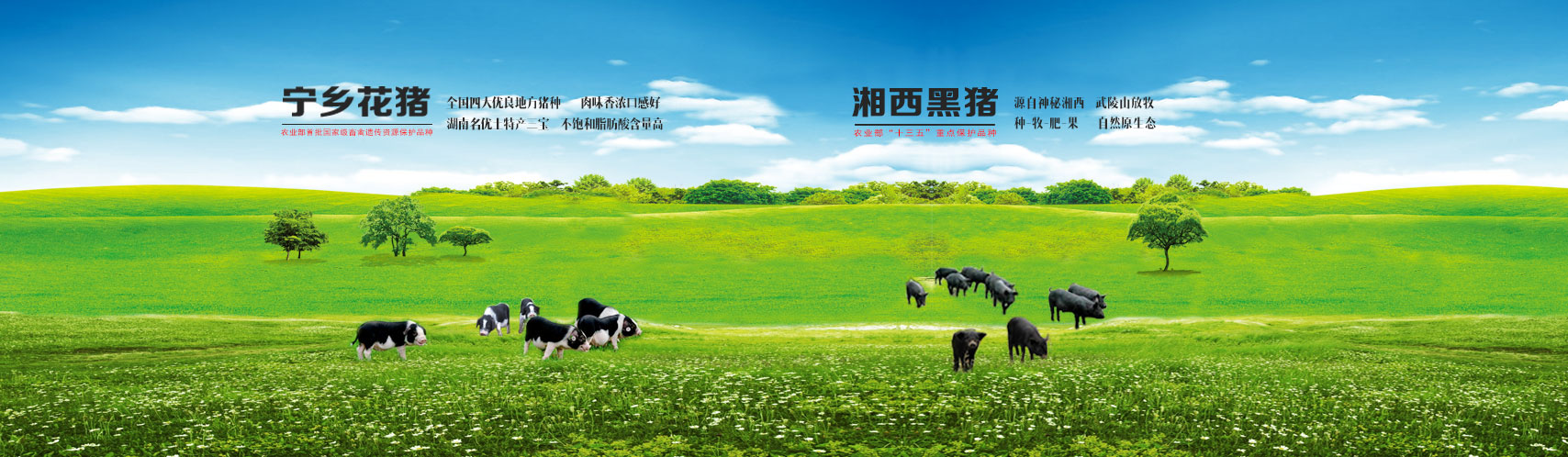 九州体育官网app下载